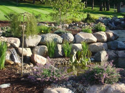 Ellsworth, WI - Pond Plantings