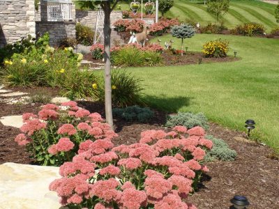 Ellsworth, WI - Renovation Plantings