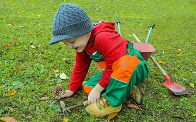 10 Easy Plants for Gardening with Your Kids