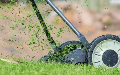 Day to Day Expectations and Responsibilities of a Landscaping Worker