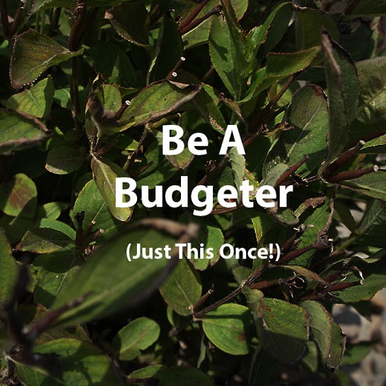 S.Be A Budgeter