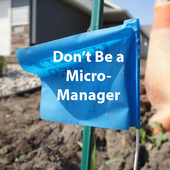 S.Dont Be a Micro Manager