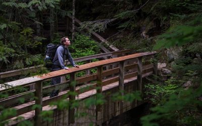 Working in the Landscaping Industry: Boosts Attitude, Energy and Well-Being